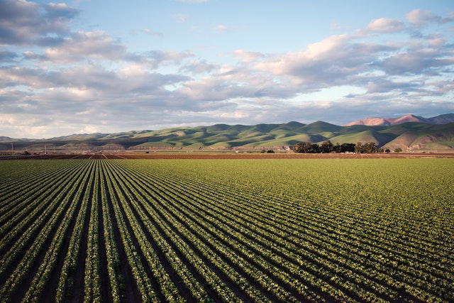 Agriculture sector